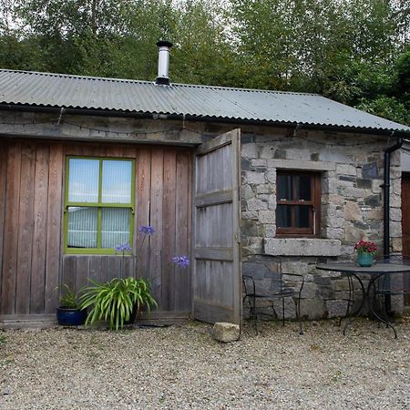 A Cosy Place In The Heart Of The Mournes Kilcoo 외부 사진